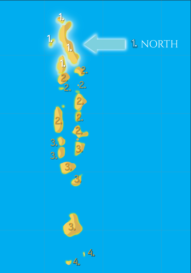 Diseño Con Ilustración por gooddesign para DSI - Développement Solutions Informatiques | Diseño #10754685