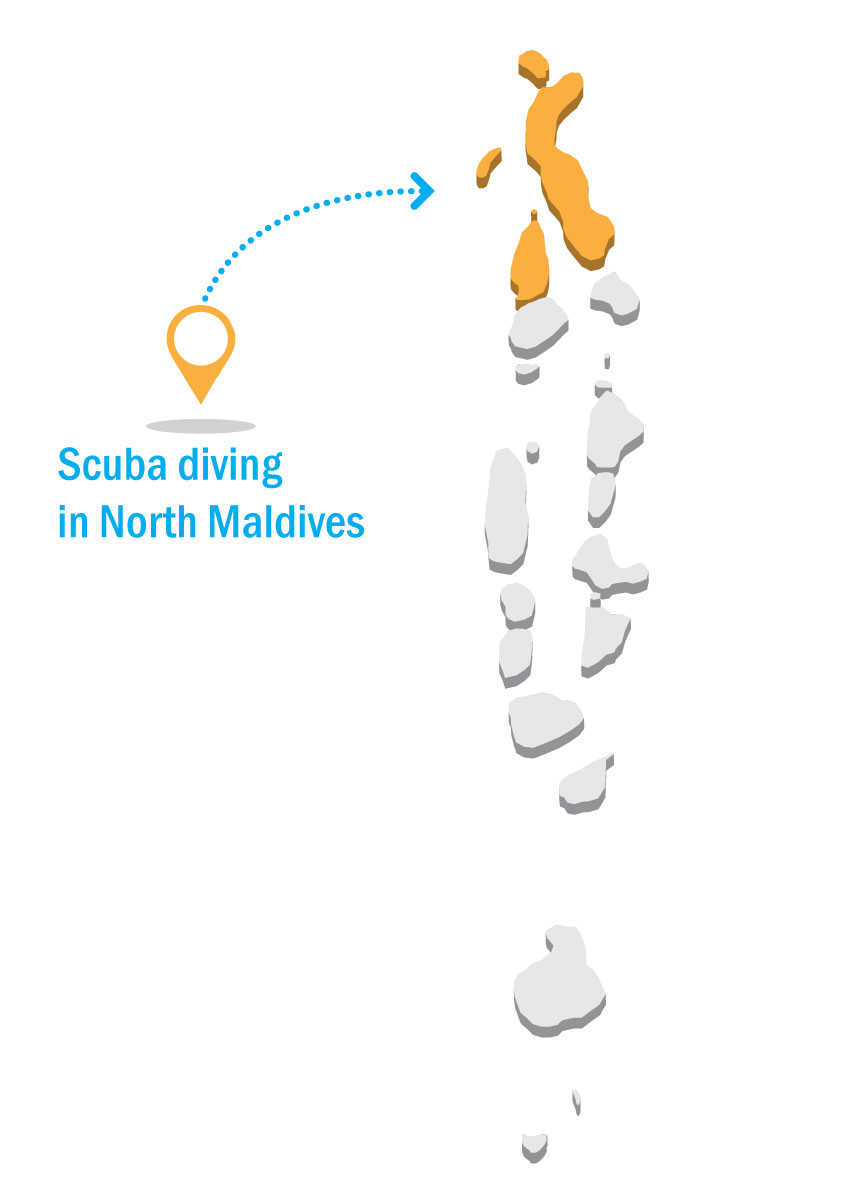 Illustration Design by Parul for DSI - Développement Solutions Informatiques | Design #10778716