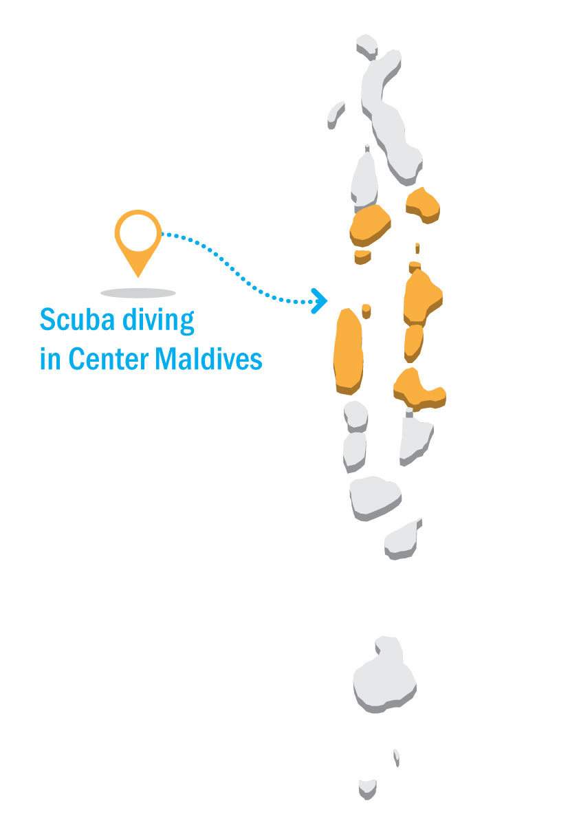 Illustration Design by Parul for DSI - Développement Solutions Informatiques | Design #10778726