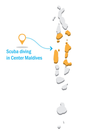 Illustration Design by Parul for DSI - Développement Solutions Informatiques | Design: #10778726