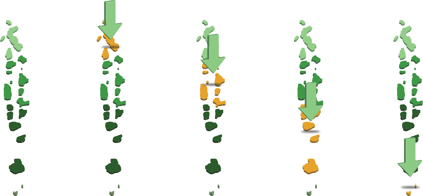 Illustration Design by SCC for DSI - Développement Solutions Informatiques | Design #10741352