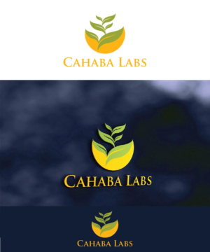 Logo Design by joliau for this project | Design: #10748575