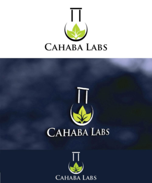 Logo Design by joliau for this project | Design: #10748576