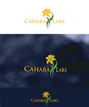 Logo Design by joliau for this project | Design: #10748577
