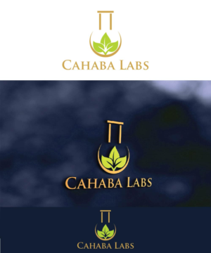 Logo Design by joliau for this project | Design: #10814738
