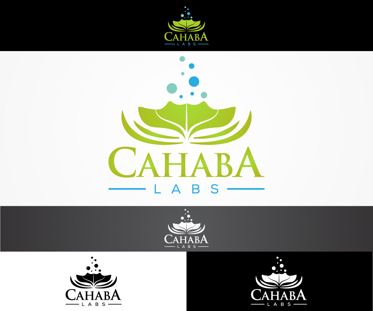 Logo Design by sangeloenriquez for this project | Design #10732197