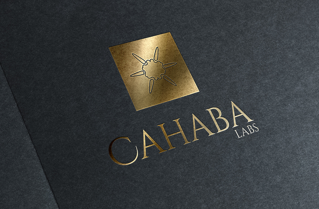 Logo Design by GLDesigns for this project | Design #10734264