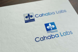 Logo Design by Saumin Bhavsar