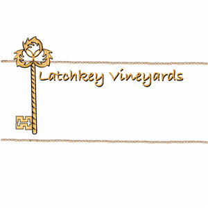Logo Design by Rae Lynton