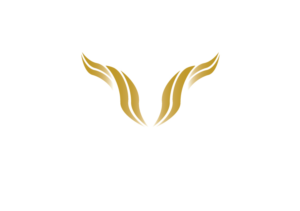 Logo Design by Taha Mughal
