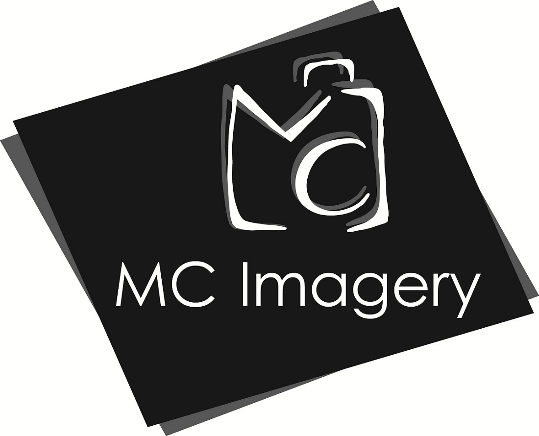 Logo Design by Grace Ramos for this project | Design #2263437