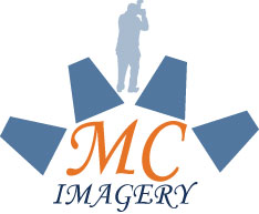 Logo Design by Furqan