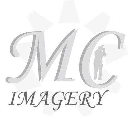 Logo Design by Furqan for this project | Design #2240027