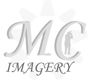 Logo Design by Furqan for this project | Design: #2240027