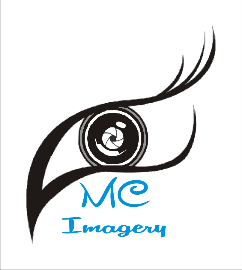 Diseño de Logo por Andrei Andrei A para este proyecto | Diseño #2239368