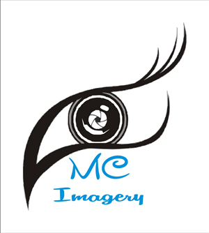 Logo Design by Andrei Andrei A