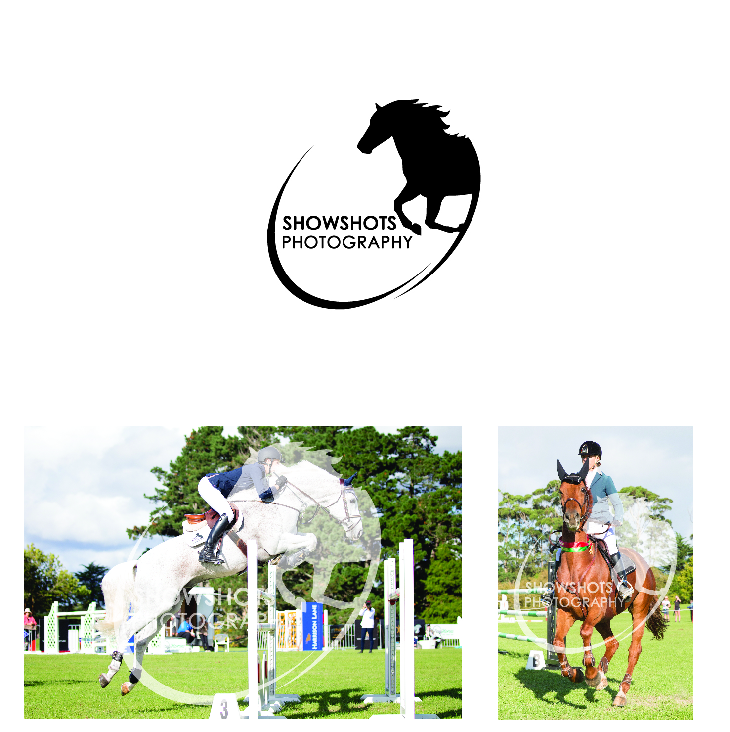 Diseño de Logo por abc. para ShowShots Photography | Diseño #10743212
