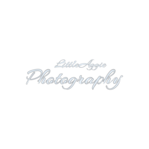 Design-Bild