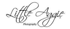 Logo Design by Noah NVB