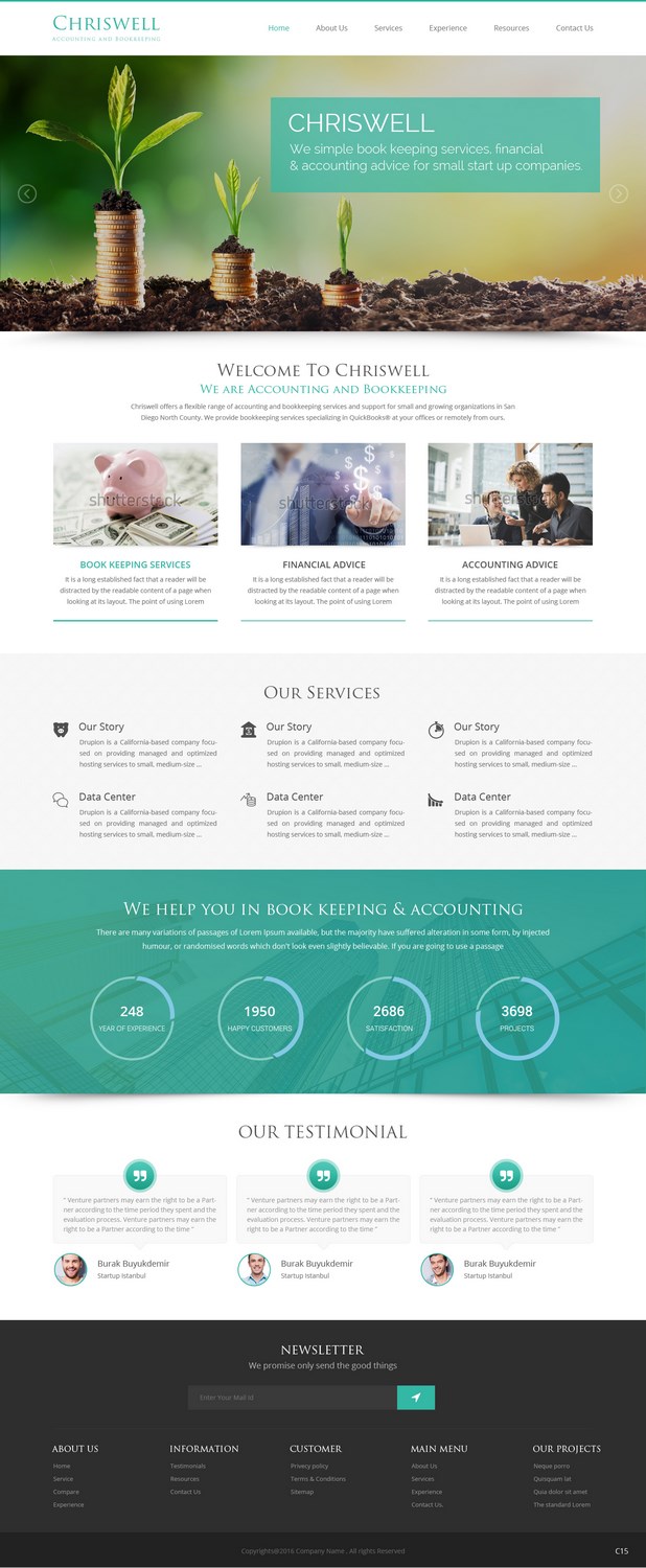 Web Design by pb for Chriswell Accounting and Bookkeeping | Design #10752729