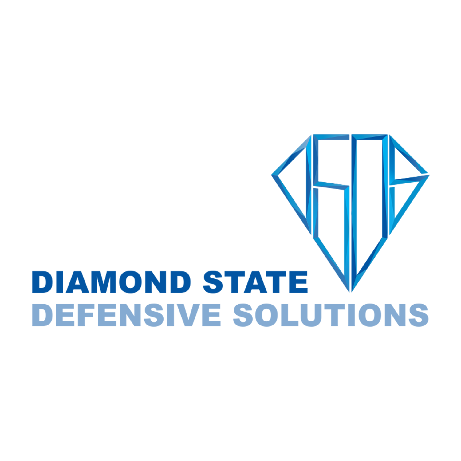Diseño de Logo por arch.knife para Diamond State Defensive Solutions, LLC | Diseño #10788507