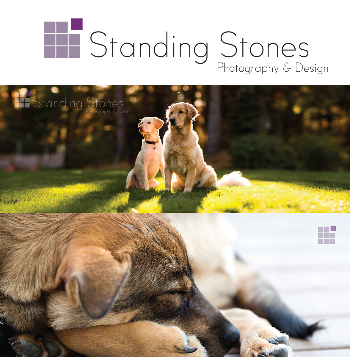 Logo Design by sonawallaa for Standing Stones Photography & Design | Design #10746897