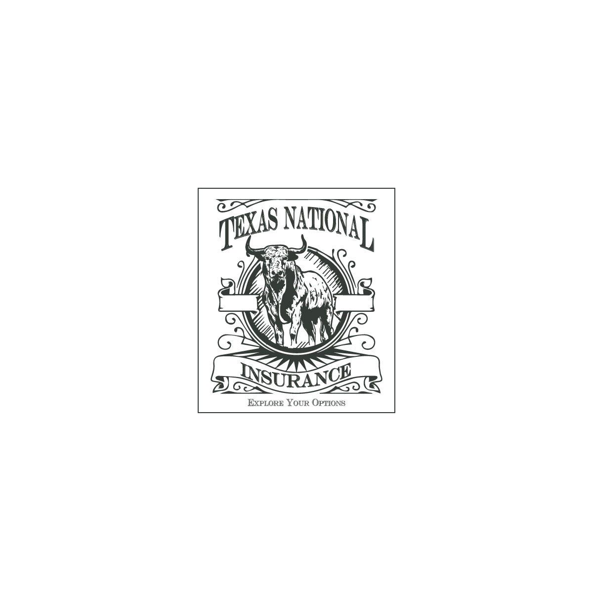 Logo Design by ackocar for Texas National Insurance | Design #10844872