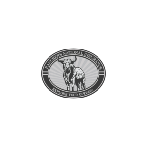 Logo Design by ackocar for Texas National Insurance | Design: #10992605