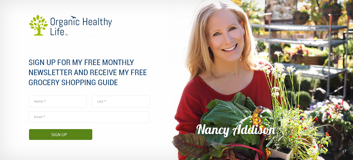 Web Design by pb for Organic Healthy Lifestyle | Design #10769381