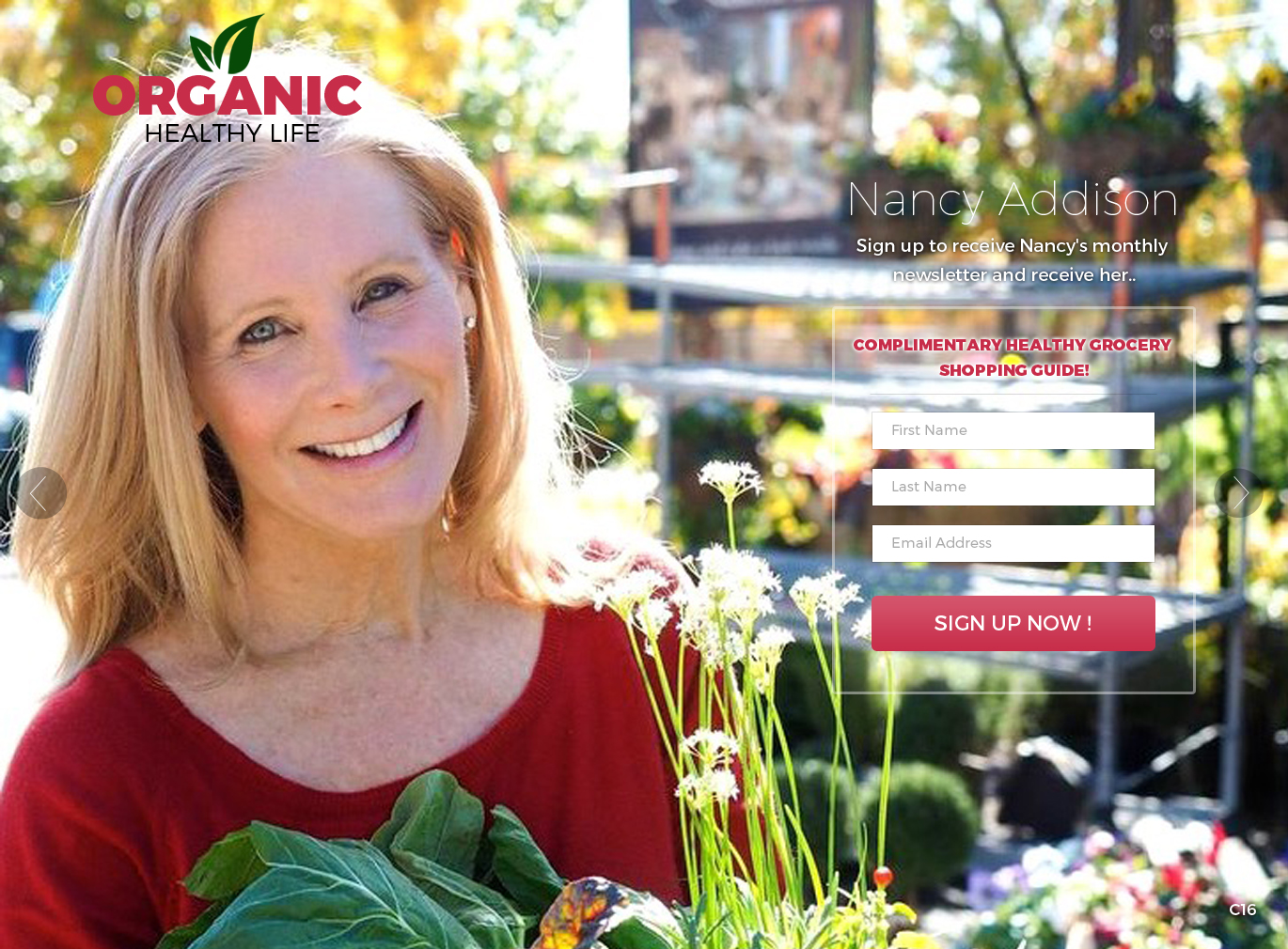 Diseño Web por pb para Organic Healthy Lifestyle | Diseño #10860757