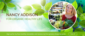 Web Design by pb for Organic Healthy Lifestyle | Design: #10860778