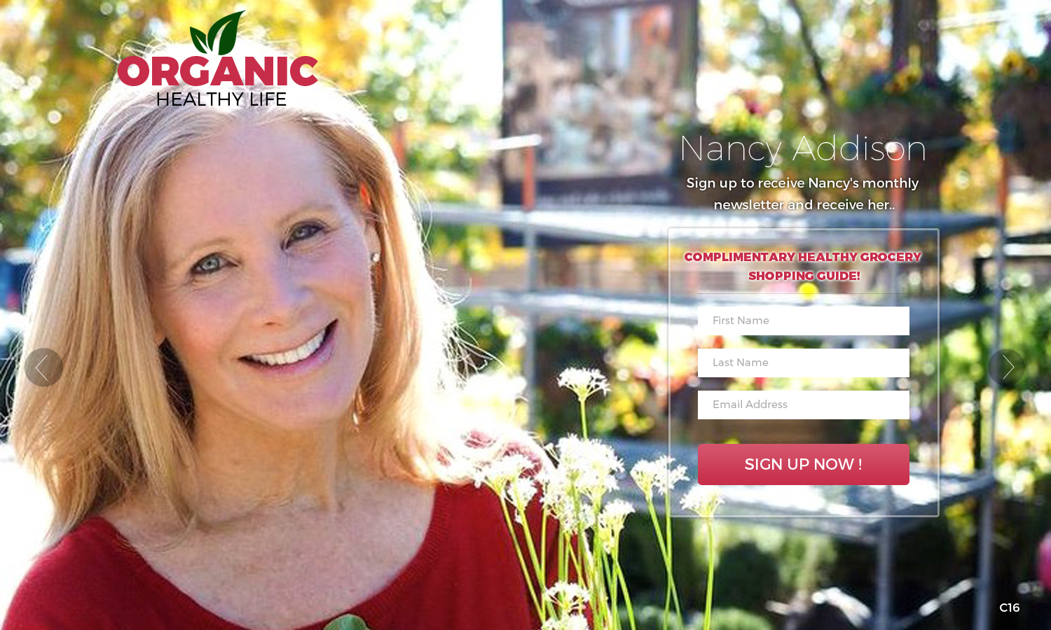 Web Design by pb for Organic Healthy Lifestyle | Design #10884541