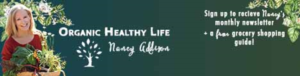 Web Design by r.ryan for Organic Healthy Lifestyle | Design: #10852395