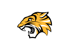 Logo Design by  geomateo for Colorado Springs Amateur Hockey | Design: #10763824