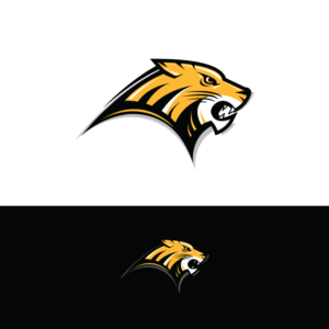 Logo Design by creative.bugs for Colorado Springs Amateur Hockey | Design: #10776426