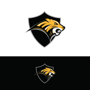 Logo Design by creative.bugs for Colorado Springs Amateur Hockey | Design: #10776427