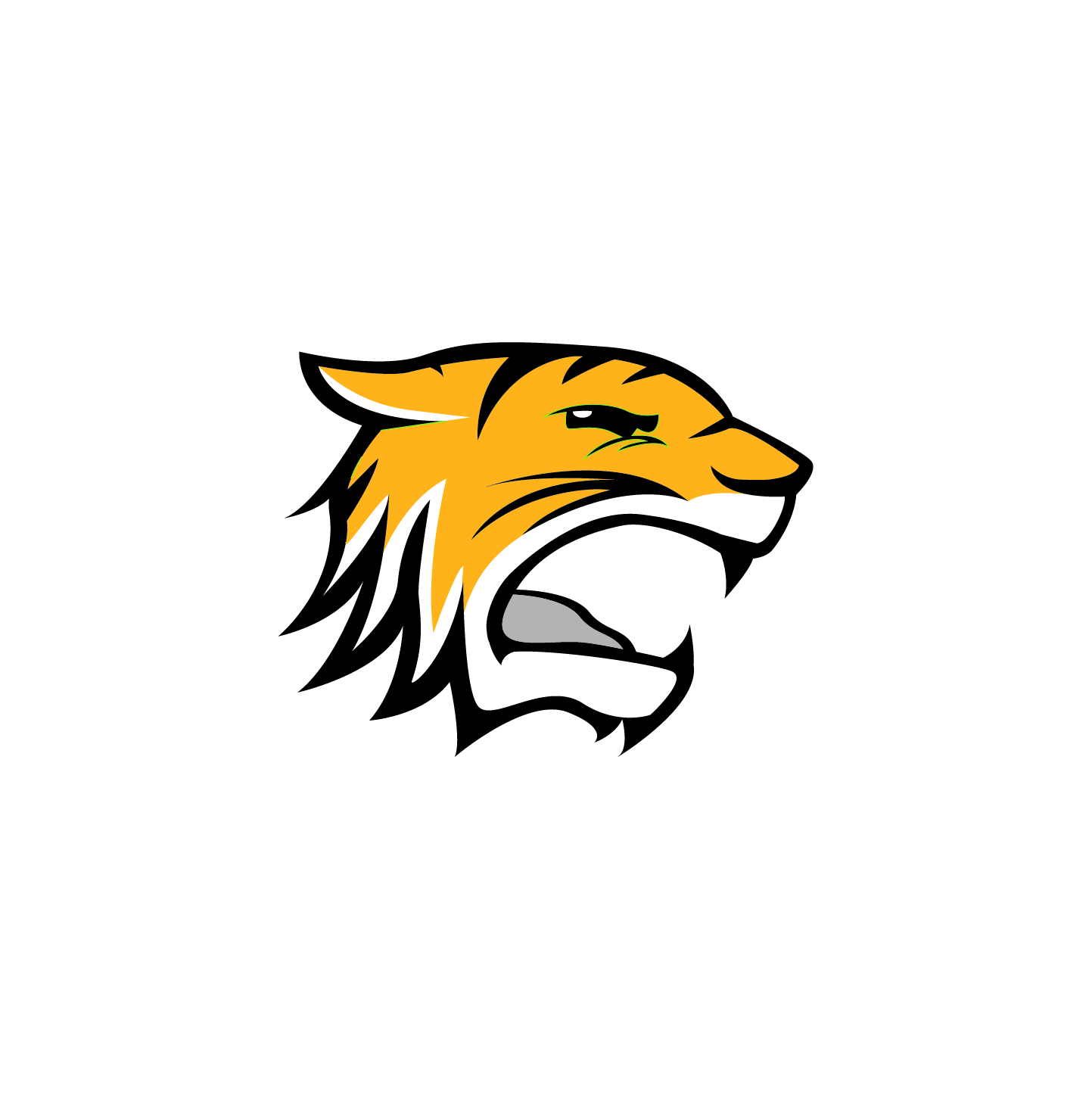 Design de Logo par abc. pour Colorado Springs Amateur Hockey | Design #10750218