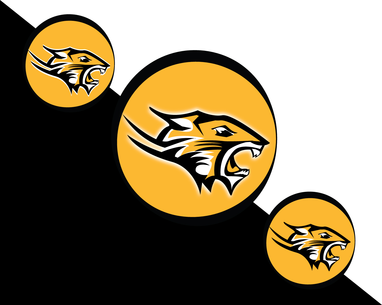 Logo Design by unlimit_design for Colorado Springs Amateur Hockey | Design #10754767