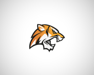 Logo Design by creativelogodesigner86 for Colorado Springs Amateur Hockey | Design #10753258