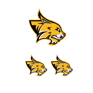 Logo Design by TB Designs for Colorado Springs Amateur Hockey | Design: #10748450