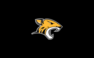 Logo Design by Cristhiam92 for Colorado Springs Amateur Hockey | Design: #10795544