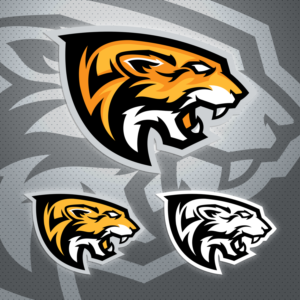 Logo Design by D.an for Colorado Springs Amateur Hockey | Design: #10772546