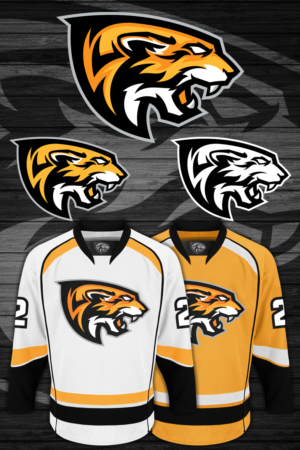 Logo Design by D.an for Colorado Springs Amateur Hockey | Design #10785015