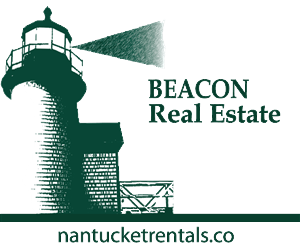 Logo Design by THE DEVELOPER