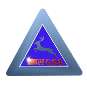 Logo Design by SuN Graphic 
