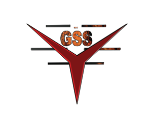 Logo Design by SuN Graphic  for General Supplies Source LLC | Design: #2340928