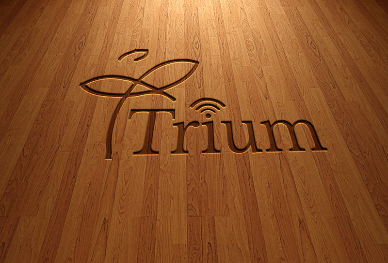 Logo Design by salam1891991 for this project | Design #11647605