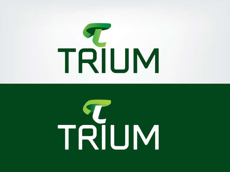 Logo Design by atalab for this project | Design #11655413