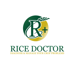Logo-Design von dcb91 für dieses Projekt | Design #2332035