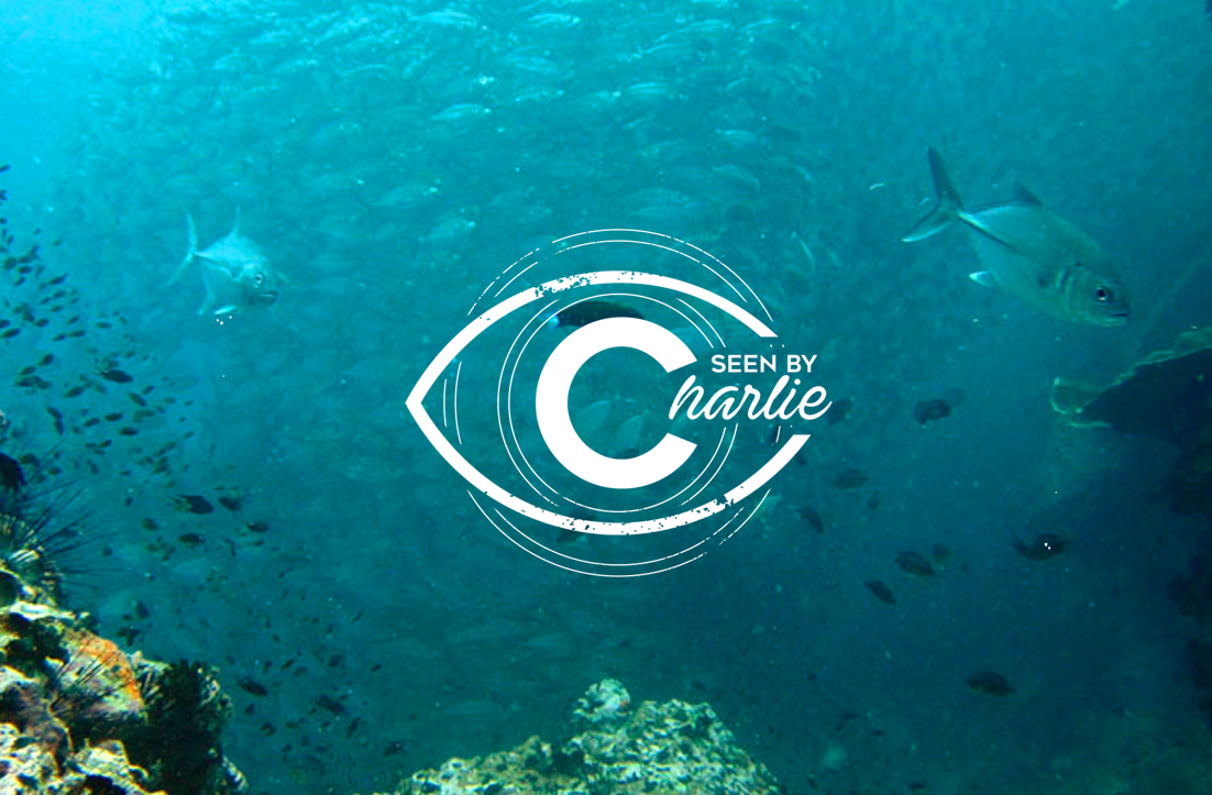 Logo Design by GLDesigns for this project | Design #10831590